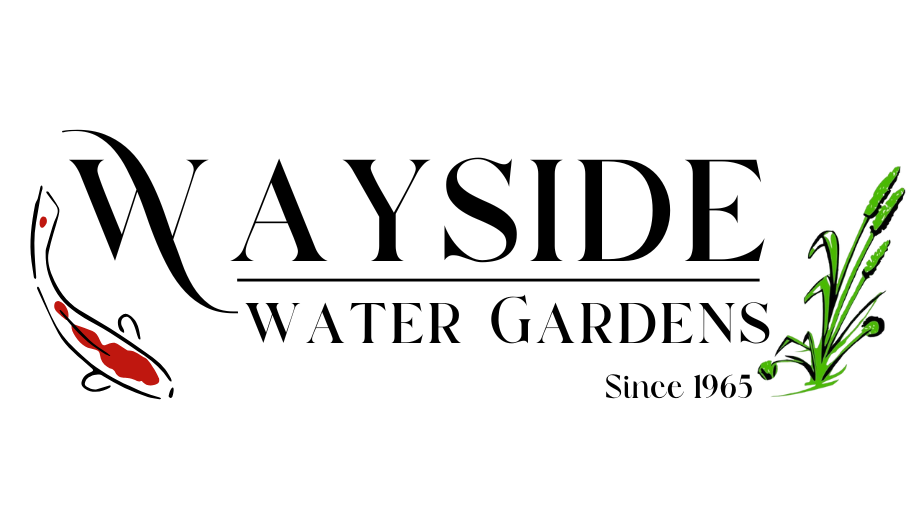 Wayside Water Gardens